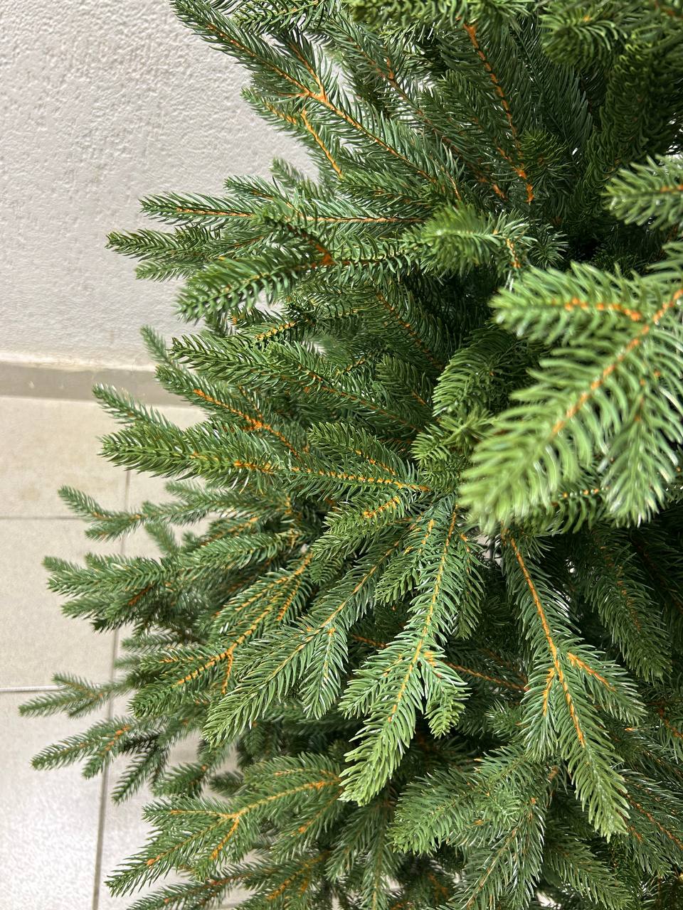 Ель Бревера с литой хвоей