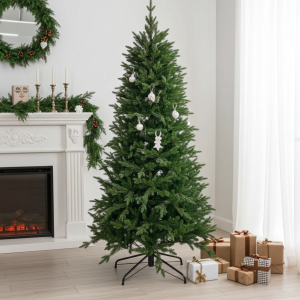 Ель Бревера с литой хвоей