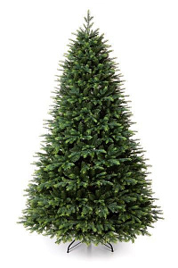 Ель Тайга темная хвоя