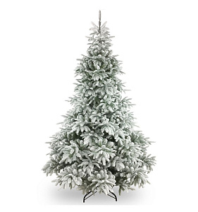 Ель заснеженная Andorra Flocked