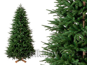 Ель Калифорнийская