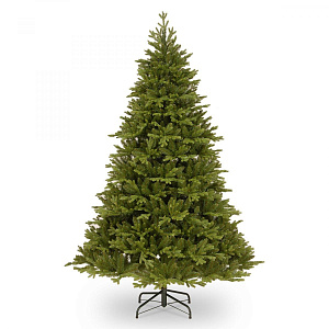 Ель Rosemont Fir PE Ель Rosemont Fir PE