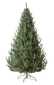 Елка искусственная Элоди 100% PE Елка искусственная Элоди 100% PE