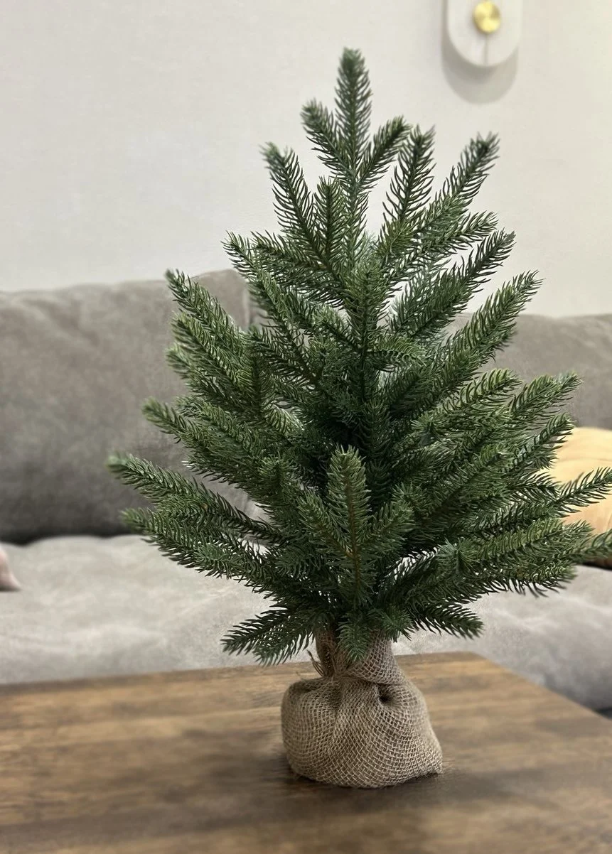 Ель настольная Руана Ель настольная Руана