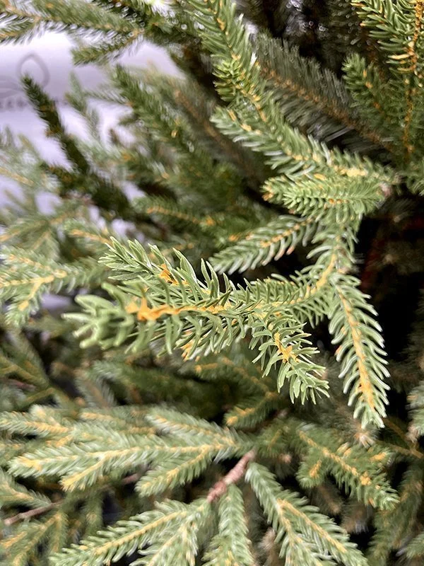 Ель искусственная Норвегия Ель искусственная Норвегия