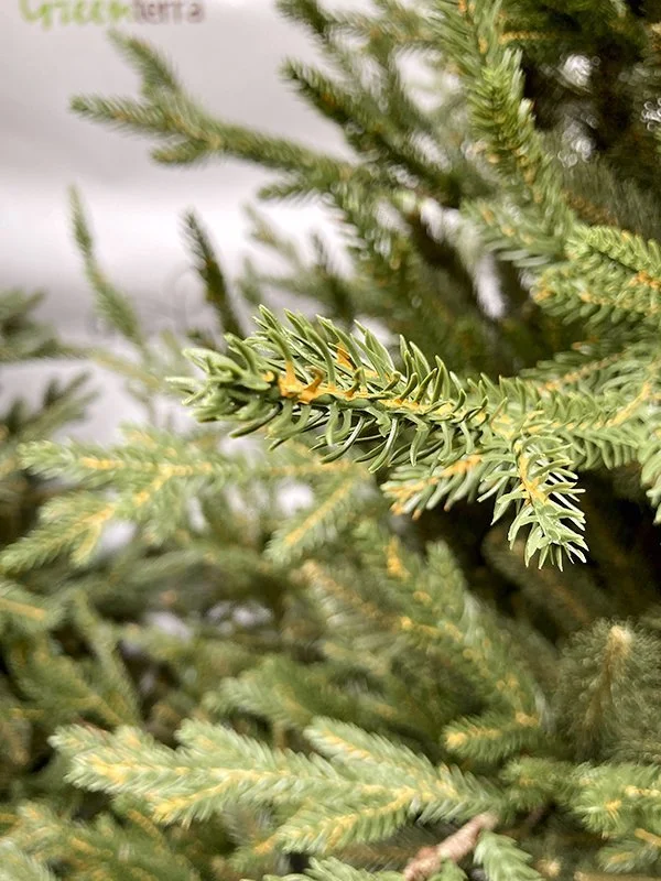 Ель искусственная Норвегия Ель искусственная Норвегия