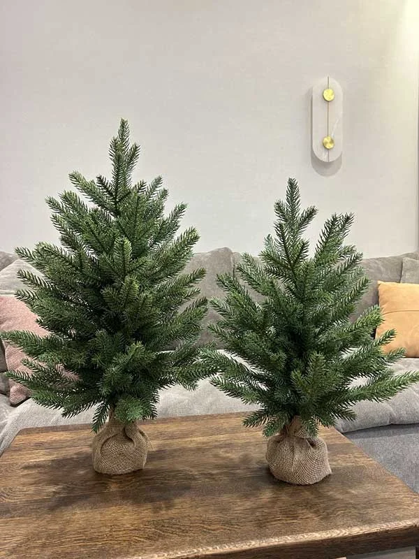 Ель настольная Руана