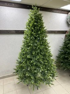 Ель Сиена Ель Сиена