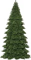 Уличные елки